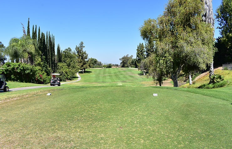 hole 6