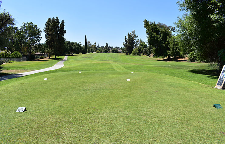 hole 15