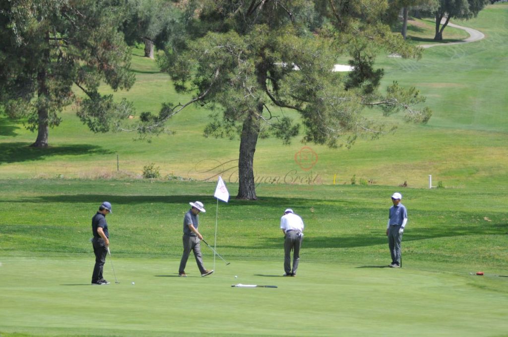 golfers near white flag on golf course 