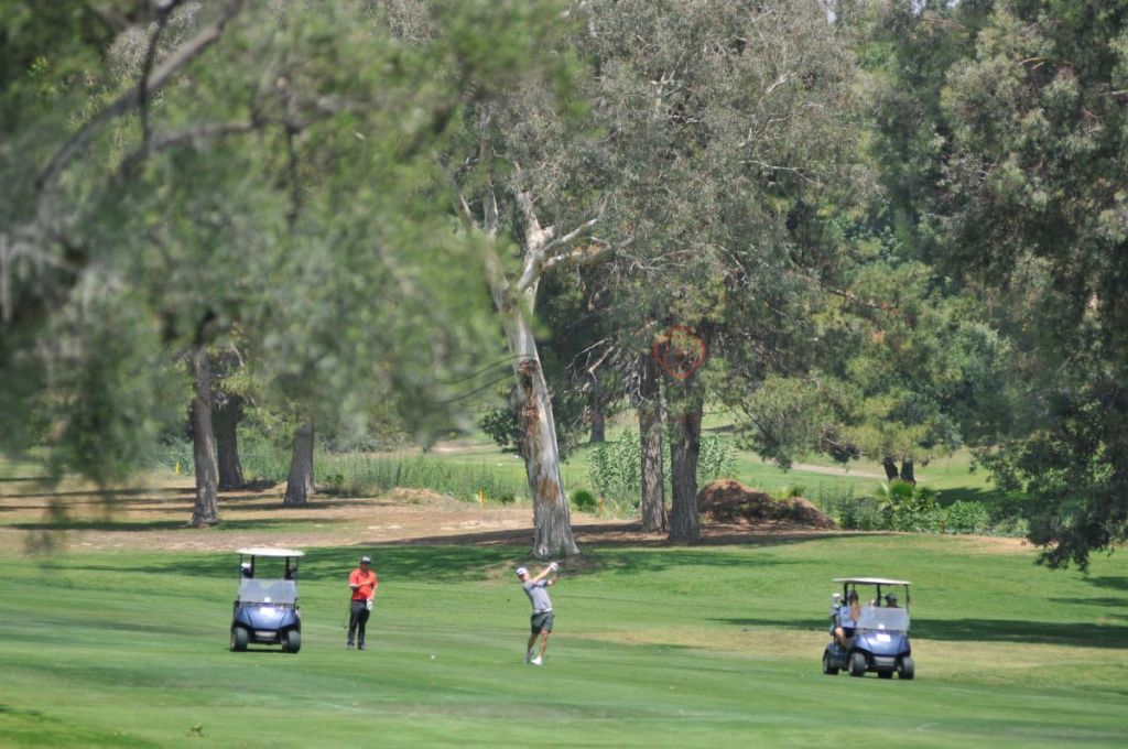 golfers by big tree 