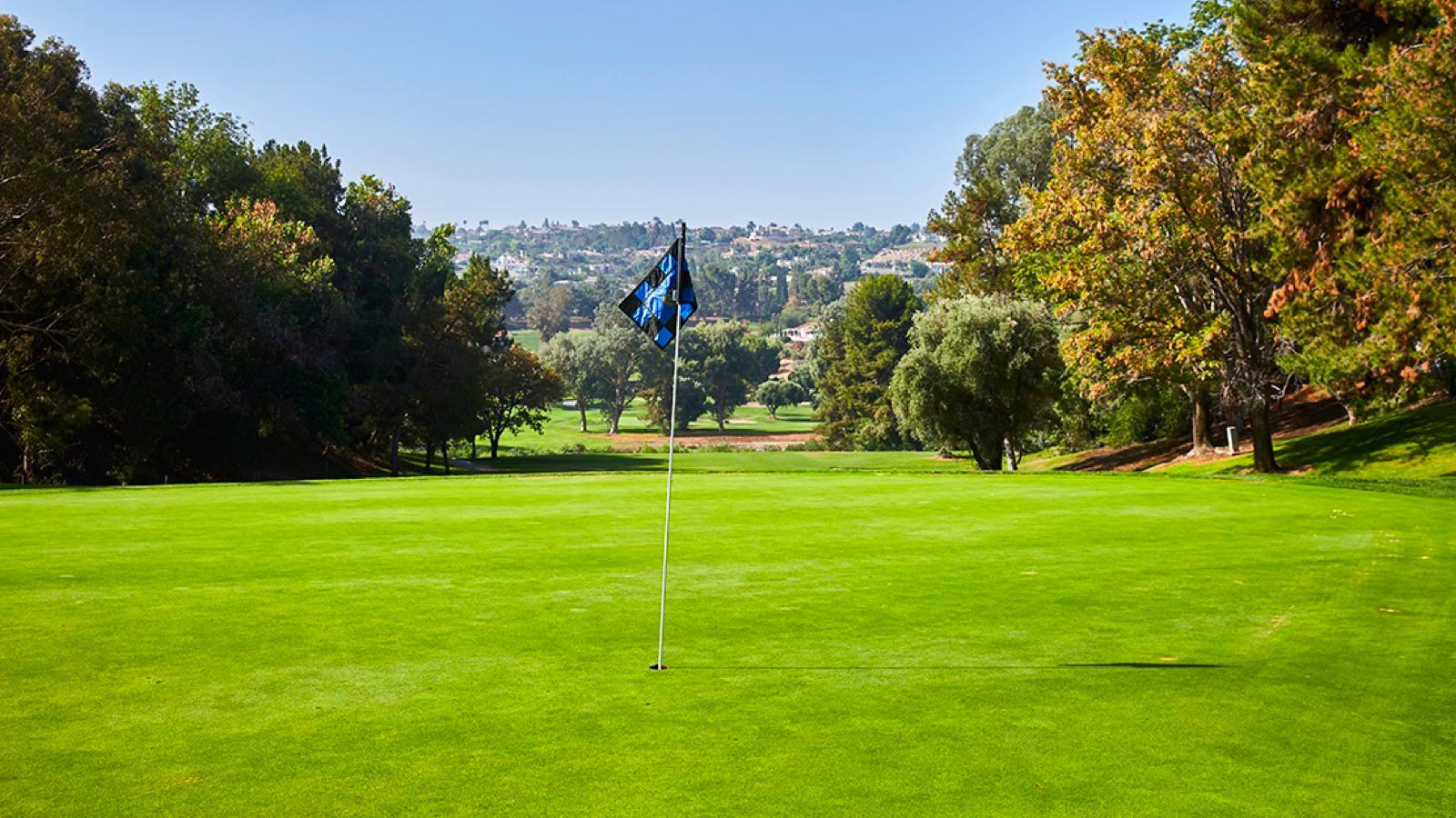 blue flag on golf course