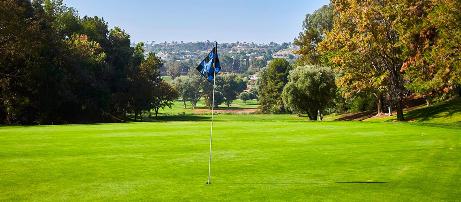 blue flag on golf course